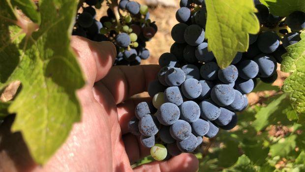 Château Héritage - Image 2